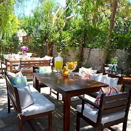 Lemon Garden Tuerkbuekue * 穆拉