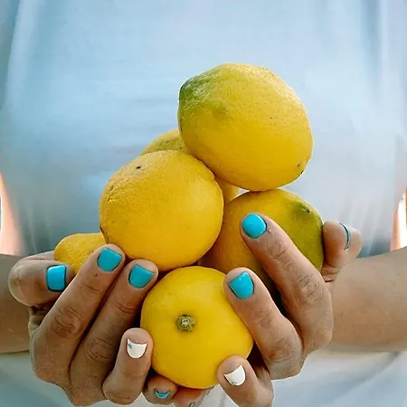 Lemon Garden Tuerkbuekue