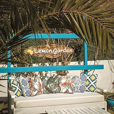 Lemon Garden Tuerkbuekue * 穆拉