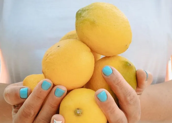 Lemon Garden Tuerkbuekue *